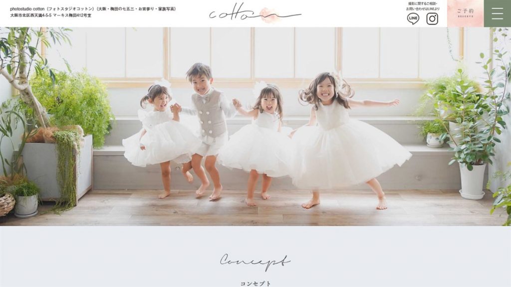 photostudio cotton
